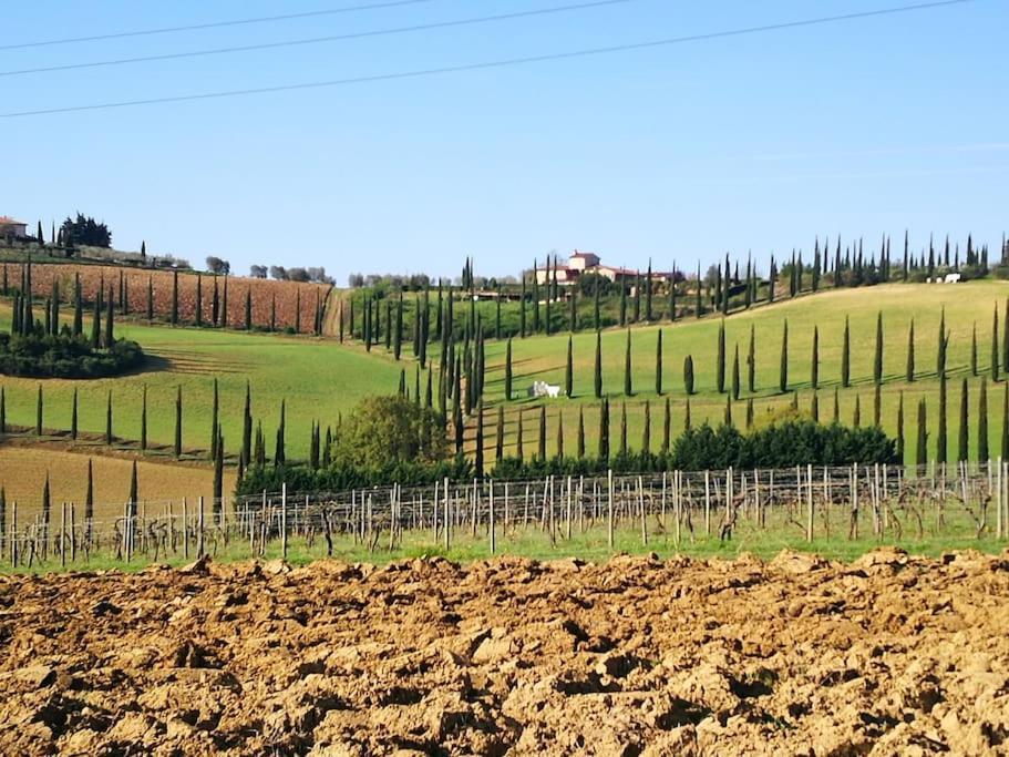 סן ג'ימיניאנו Castello Di Fulignano Ildebrando Superior Apartment מראה חיצוני תמונה